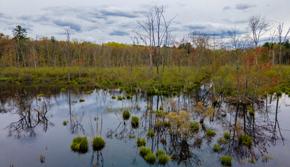 lake in the woods with reflection
