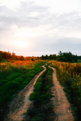 Obraz premium road in the field