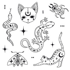 Doodle mystic set with magic elements