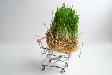Green grass in a grocery cart.