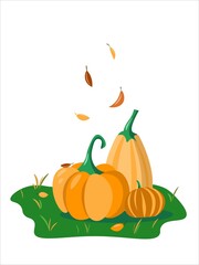 Vector orange and yellow pumpkins on the autamn grass