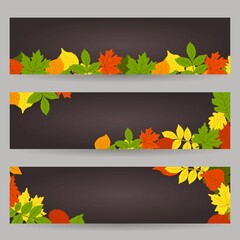 Naklejka na ściany i meble The poster is a fashionable autumn theme set. The leaves are oak, birch, aspen, maple. Space for copying. Applicable for printing, posters, postcards, websites.Vector illustration.