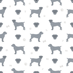 Cane corso seamless pattern. Different poses, coat colors set