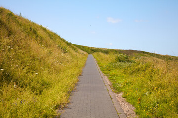 Im Sonnenschein führt ein Weg auf eine Halde.