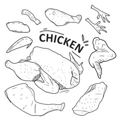 hand drawn doodle style chicken pieces set on white background