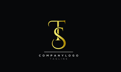 Abstract Letter Initial TS Vector Logo Design Template.