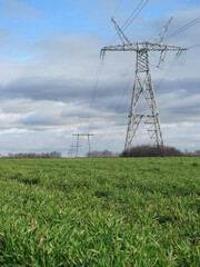 power lines on a field