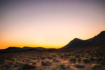 Sweet light in the desert