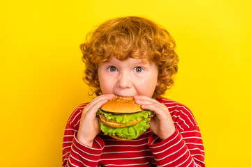 Photo of cute small boy eat wear red shirt isolated on yellow color background