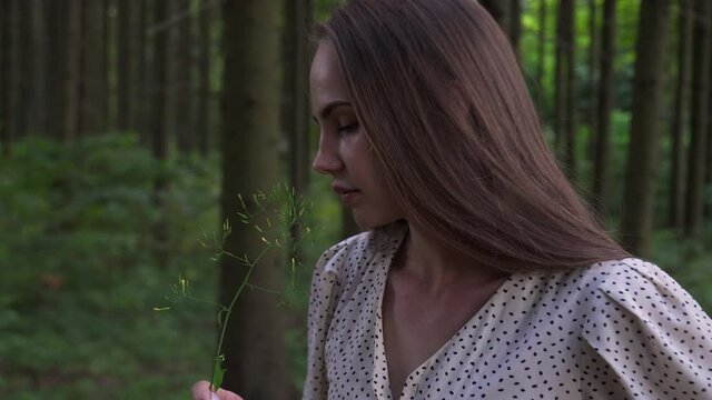 Woman in a white sundress in a green pine forest sniffs plucked flower, plant, bush with pleasure, pleasure. The image of preserving the environment, saving forests, environmental safety in the world
