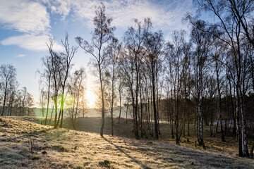 Sonnenaufgang &uuml;ber B&auml;umen