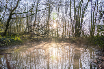 Nebel &uuml;ber Wasser