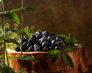 Ripe blueberries and mint on brown background