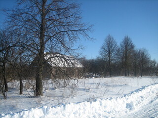 An ordinary Russian village in winter. Houses, sheds, trees, vegetable gardens are covered with snow drifts. The snow is silvered in the sun.Clear blue sky. Cold.