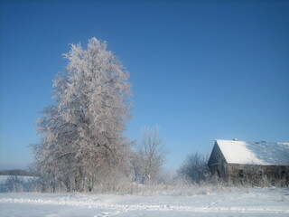 An ordinary Russian village in winter. Houses, sheds, trees, vegetable gardens are covered with snow drifts. The snow is silvered in the sun.Clear blue sky. Cold.