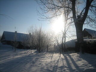 An ordinary Russian village in winter. Houses, sheds, trees, vegetable gardens are covered with snow drifts. The snow is silvered in the sun.Clear blue sky. Cold.