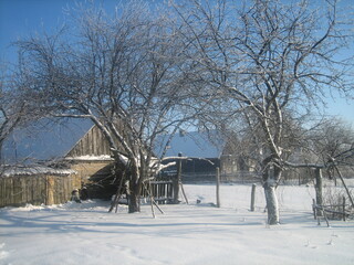 An ordinary Russian village in winter. Houses, sheds, trees, vegetable gardens are covered with snow drifts. The snow is silvered in the sun.Clear blue sky. Cold.