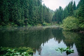 misty weather fog above lake in carpathian mountains