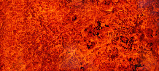 Natural Burma padauk burl wood striped is a wooden beautiful pattern for background