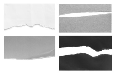 Collection of torn paper isolated on white background.