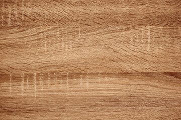 Nature wood textured wallpaper background.