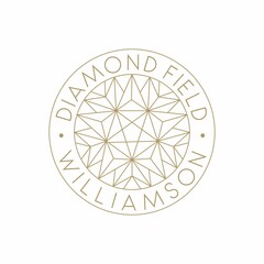 Simple Diamond and Stars Logo, Jewelery Shop Logo Or Diamond mining