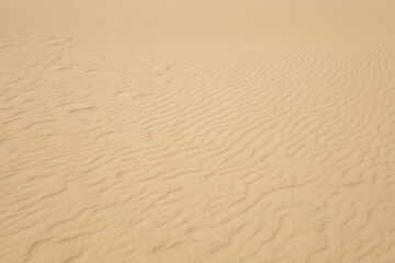 sand texture background small dunes