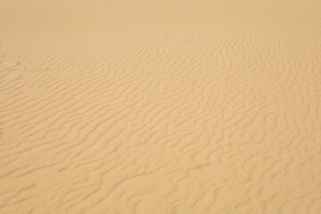 sand texture background small dunes
