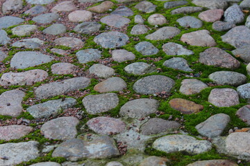 stone road background, stone road with moss