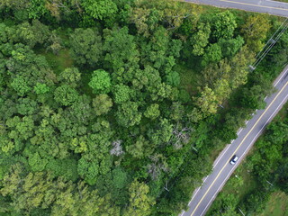 Aerial drone view of country road between green forest 