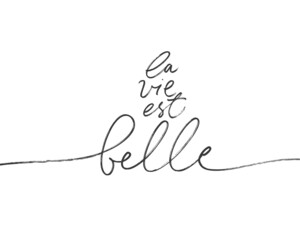 La Vie est Belle vector line lettering. Life is Beautiful in French. Black handwriting calligraphy isolated on white background. French expression, beautiful text. Modern brush calligraphy. 