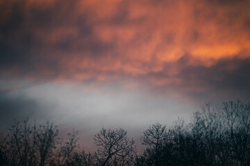 Obraz premium Colorful clouds kissed from golden hour. Dramatic color background.