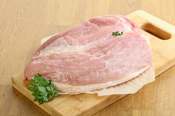 Piece of the raw pork meat