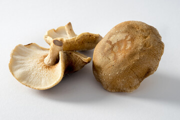 Shiitake or Shii-Take, a beautiful fresh and raw mushroom isolated on white background, close up
