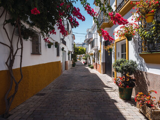 Fototapeta na wymiar Central street in the city of Estepona (Costa del sol) full of flowerpots with flowers and colorful buildings