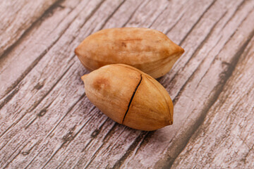 Tasty pecan nut heap isolated