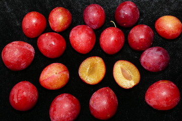 Ripe Prunus cerasifera fruits, a species of plum known by the names cherry plum and myrobalan plum. 