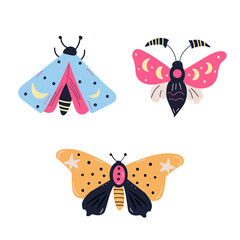 Esoteric moths in the boho style. Vector background of the nature of abstract art.