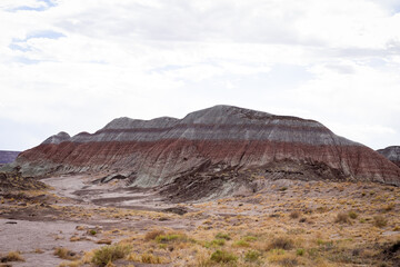 Fototapeta premium Petrified Forest 
