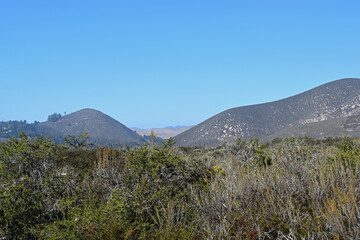 Elfin Forest in Morro Bay, CA.