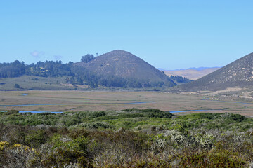 Elfin Forest in Morro Bay, CA.