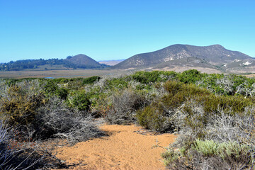 Elfin Forest in Morro Bay, CA.