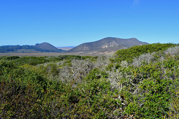 Elfin Forest in Morro Bay, CA.