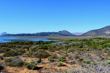 The bay near Elfin Forest in Morro Bay, CA.