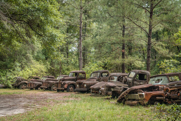 Fototapeta na wymiar Old rusted Ford pickup trucks