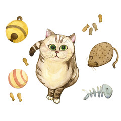 Watercolor painting of a cat sitting