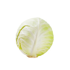 a head of fresh cabbage isolated on a white background