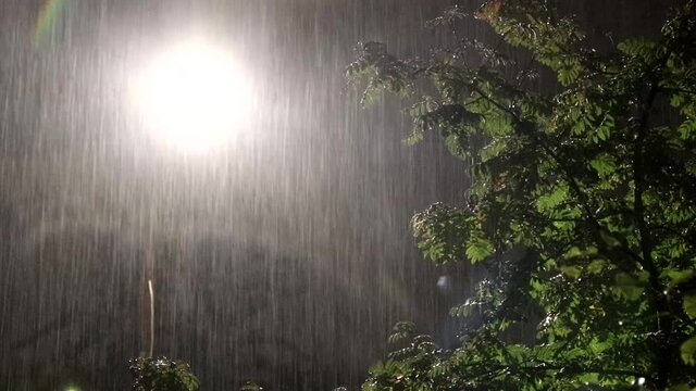 Video of lightning and heavy rain . bad weather. Heavy rain. Lightning discharges.