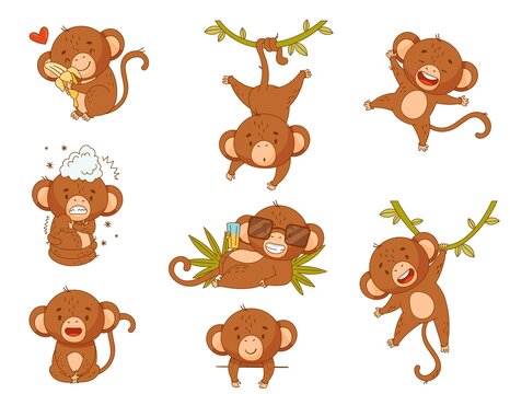 A large set of cool monkey characters in various situations. Isolated on white. Vector illustration