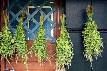 Bunches of mint and lemon balm plants are dried under a canopy. Medical supplies.